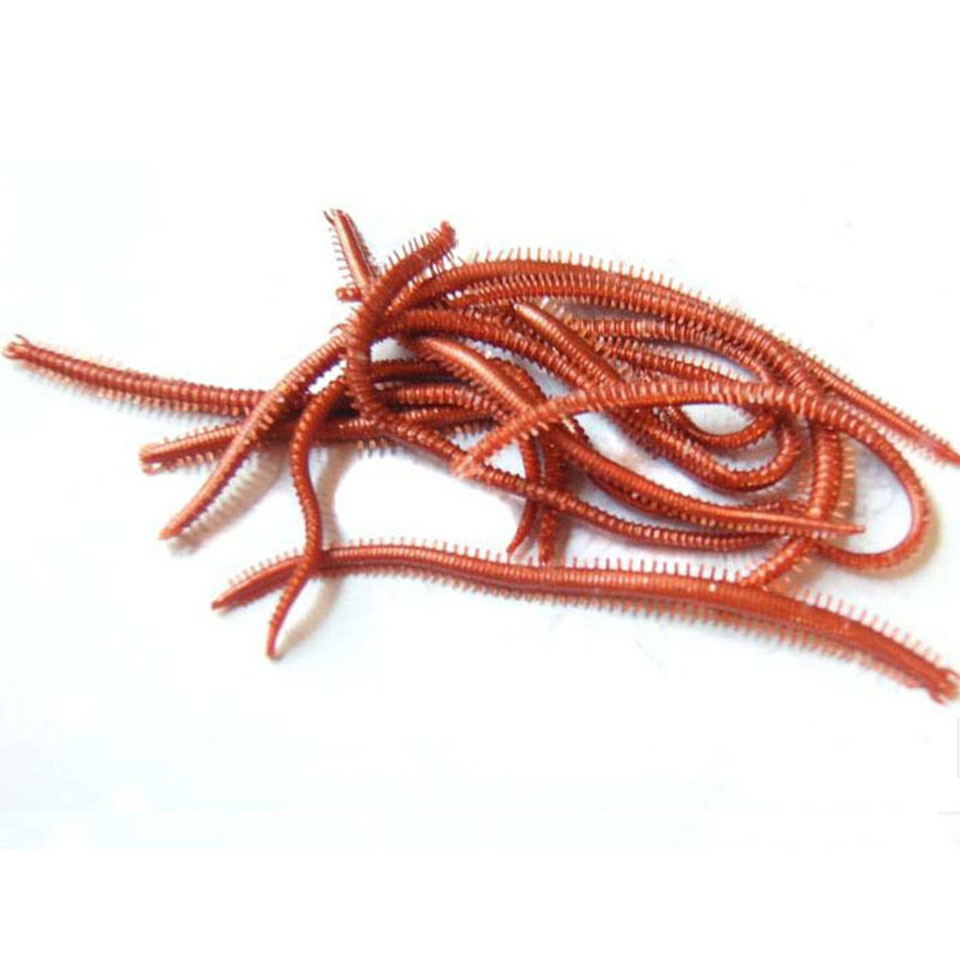10 pièces/lot vers de mer arti - Fishing Lure Soft Plastic avis et prix