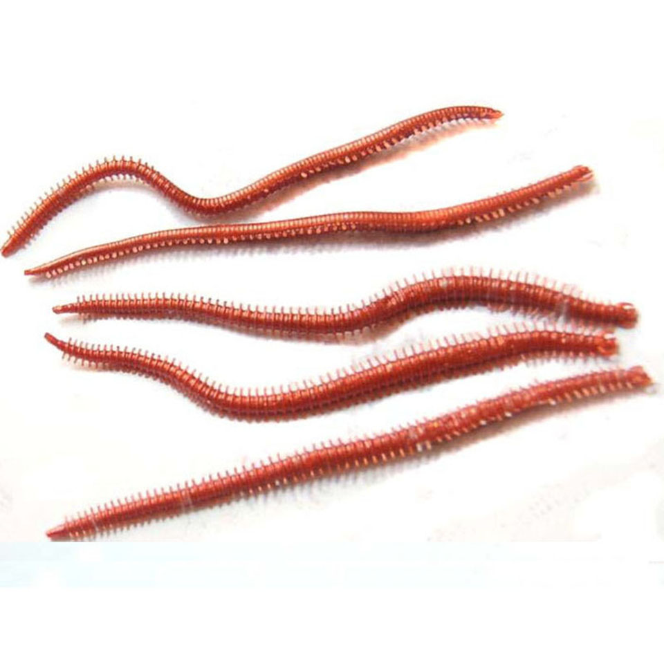 10 pièces/lot vers de mer arti - Fishing Lure Soft Plastic avis et prix